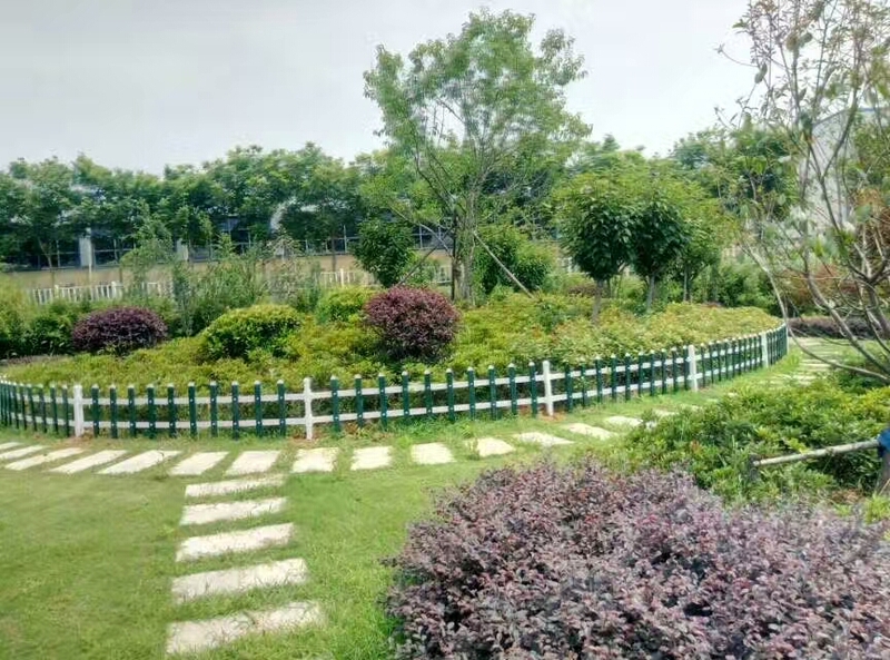 mmexport1509952056911.jpg
