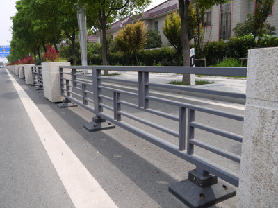 道路护栏DZ