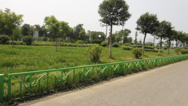 DSC03126.jpg